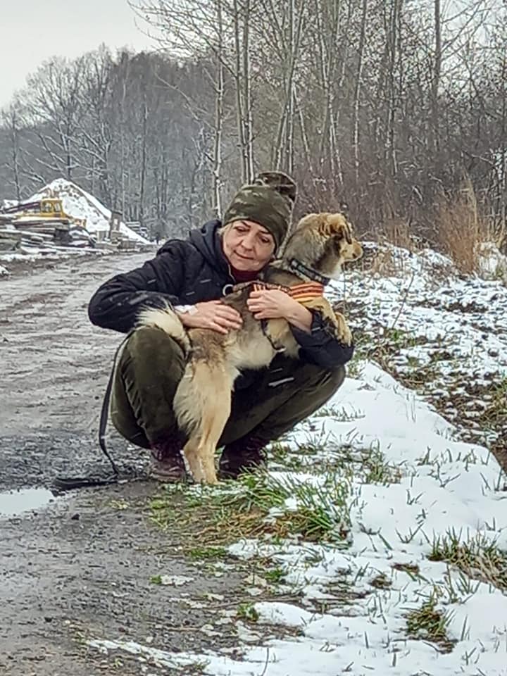 Riko Stowarzyszenie LePsieżycie schronisko miedary